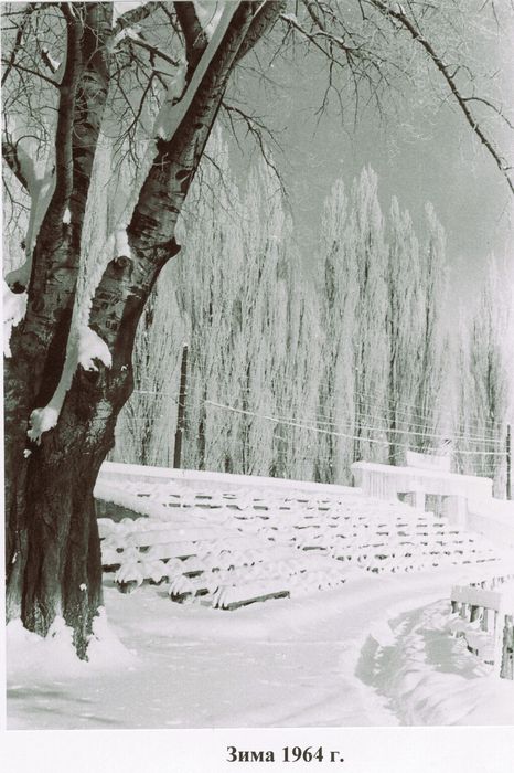 зима  1964г